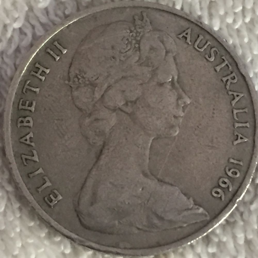 Noodling-Find-Of-The-Week?