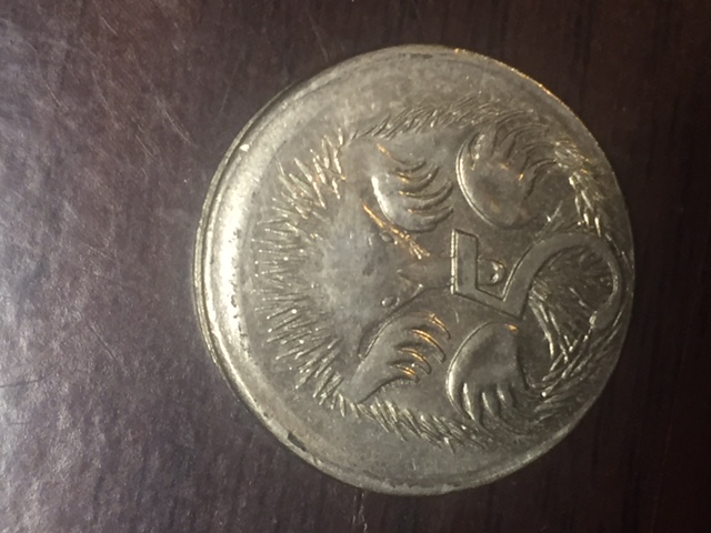 Noodling-Find-Of-The-Week?