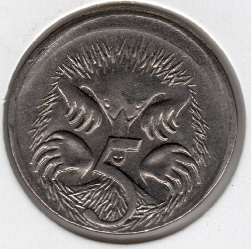 Noodling-Find-Of-The-Week?