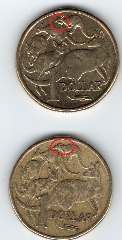 Noodling-Find-Of-The-Week?