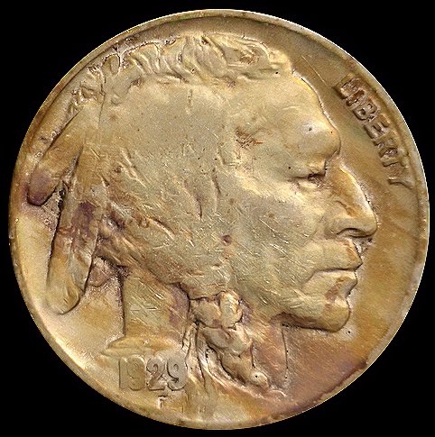 Taking-Pics-Of-Buffalo-Nickels