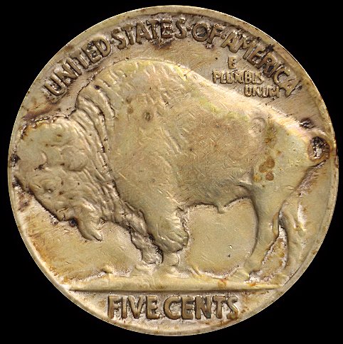 Taking-Pics-Of-Buffalo-Nickels