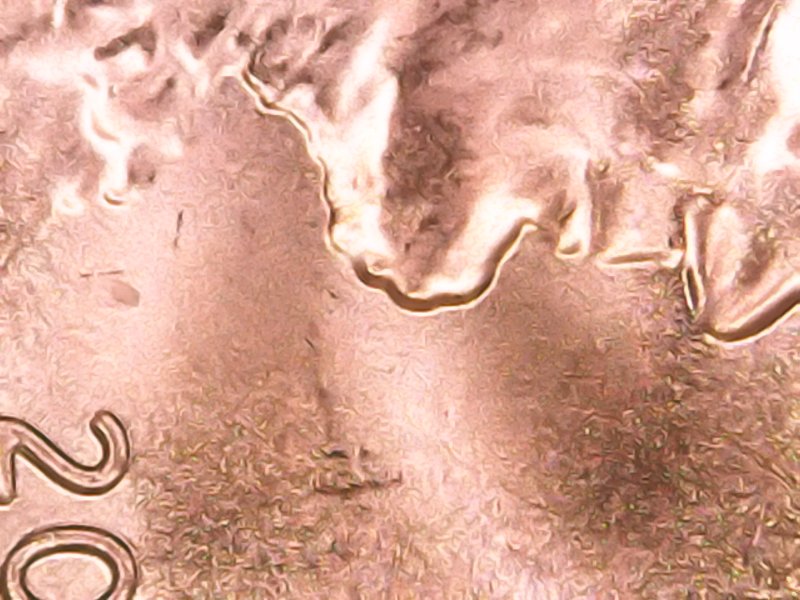 2016-D-Cent-With-Doubling-On-Lincolns-Chin