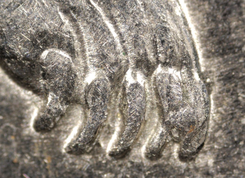Alaska-Quarter-Bear-Claw