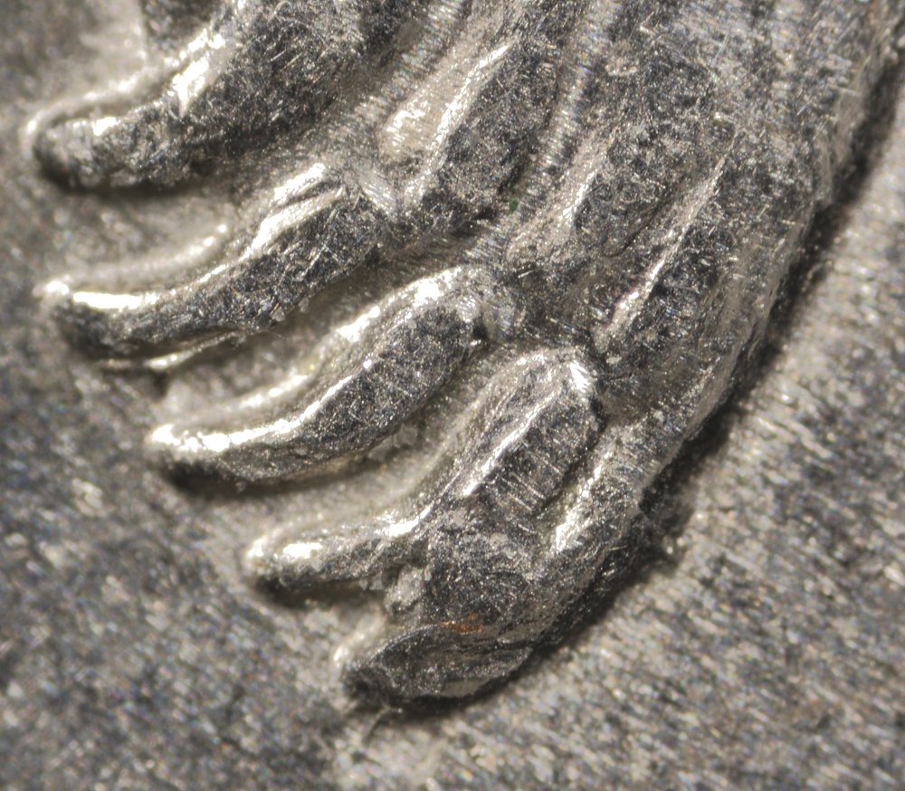 Alaska-Quarter-Bear-Claw