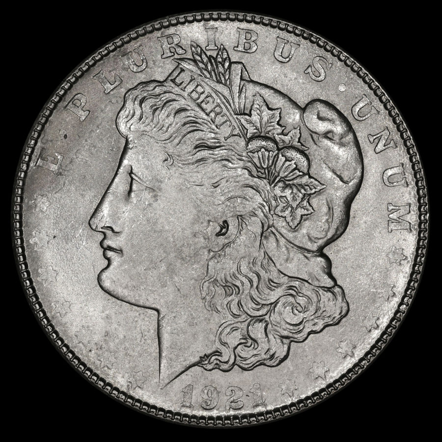 Please-Grade-This-1921-S-Morgan