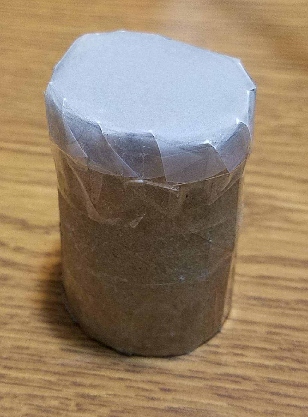 Diffuser-From-2-Liter-Bottle