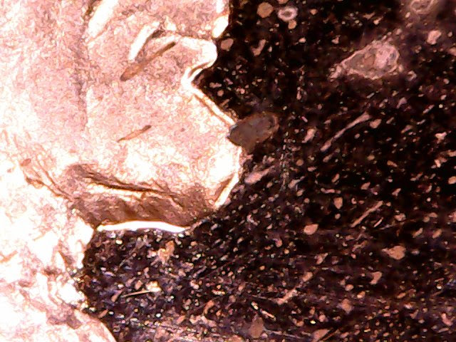 1969-S-Lincon-Gem-Proof-Errors?