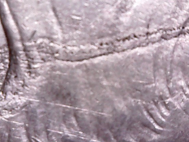 1893-Half-Dollar-Dont-Know-What-These-Marks-Are
