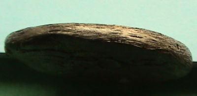 Fake-Tanit-Coin