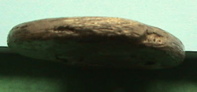 Fake-Tanit-Coin