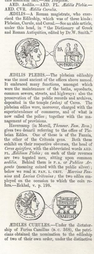 P-Furius-Crassipes-Denarius