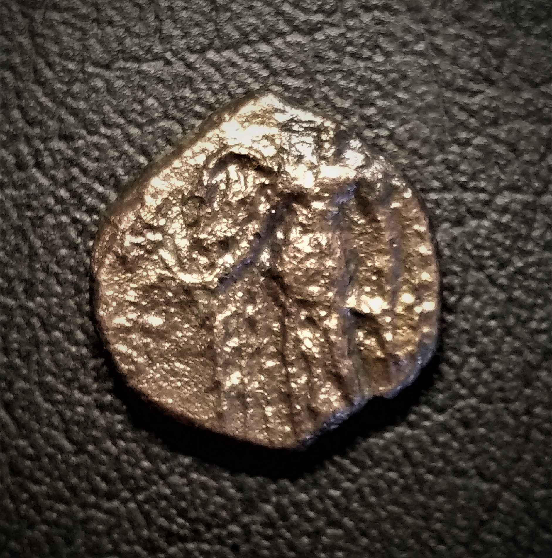 Need-Help-To-Id,-Please