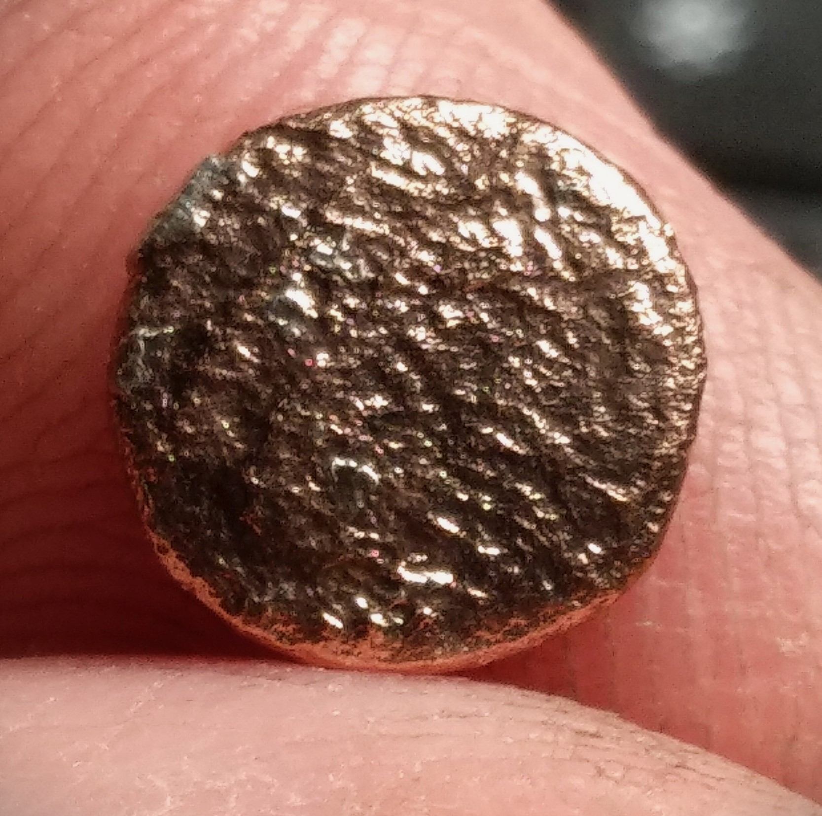 Can-Somebody-Identify-It?