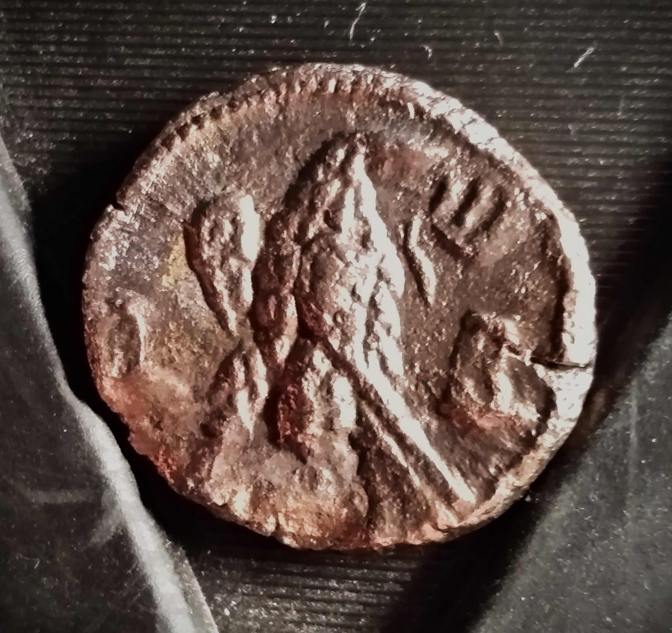Need-Help-To-Identify