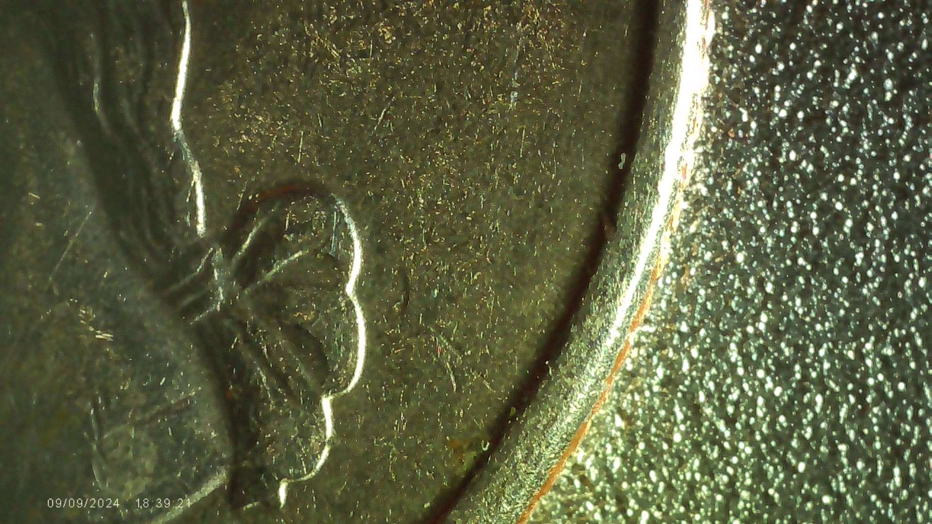 1994-Quarter,-Mint-Mark?