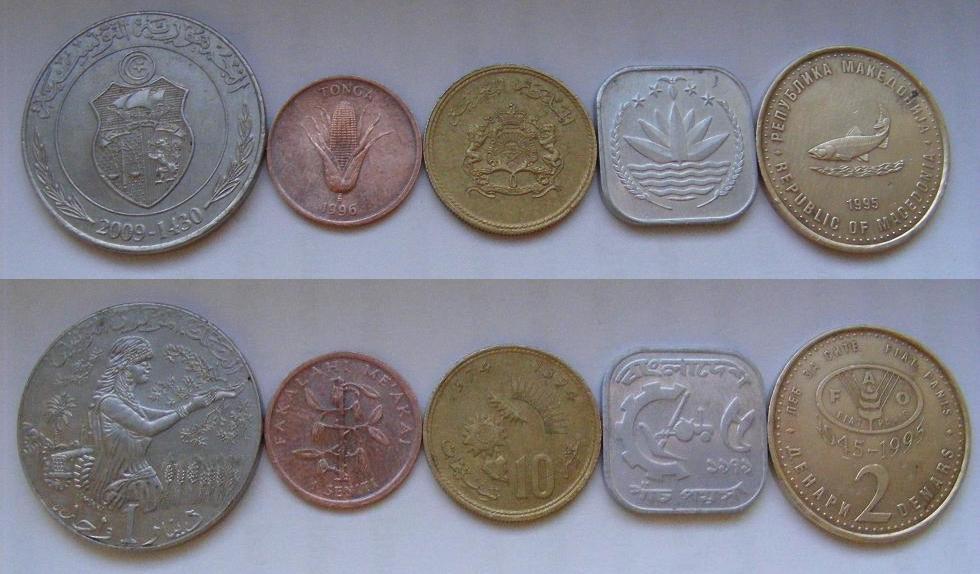 FAO-Coins