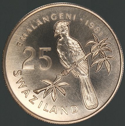 My-Latest-Themed-Acquisitions---Birds