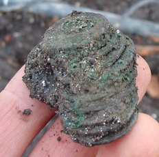 Roman-Coin-Cache,-ID