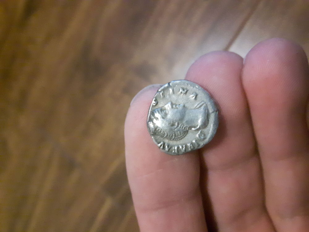 Faustina-II-–-Wife-Of-Marcus-Aurelius