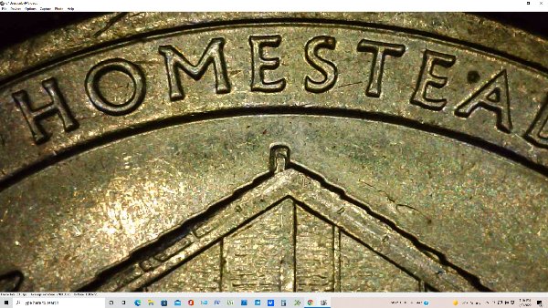 Homestead-Chimney-Die-Chip,-Two-Different-Types?