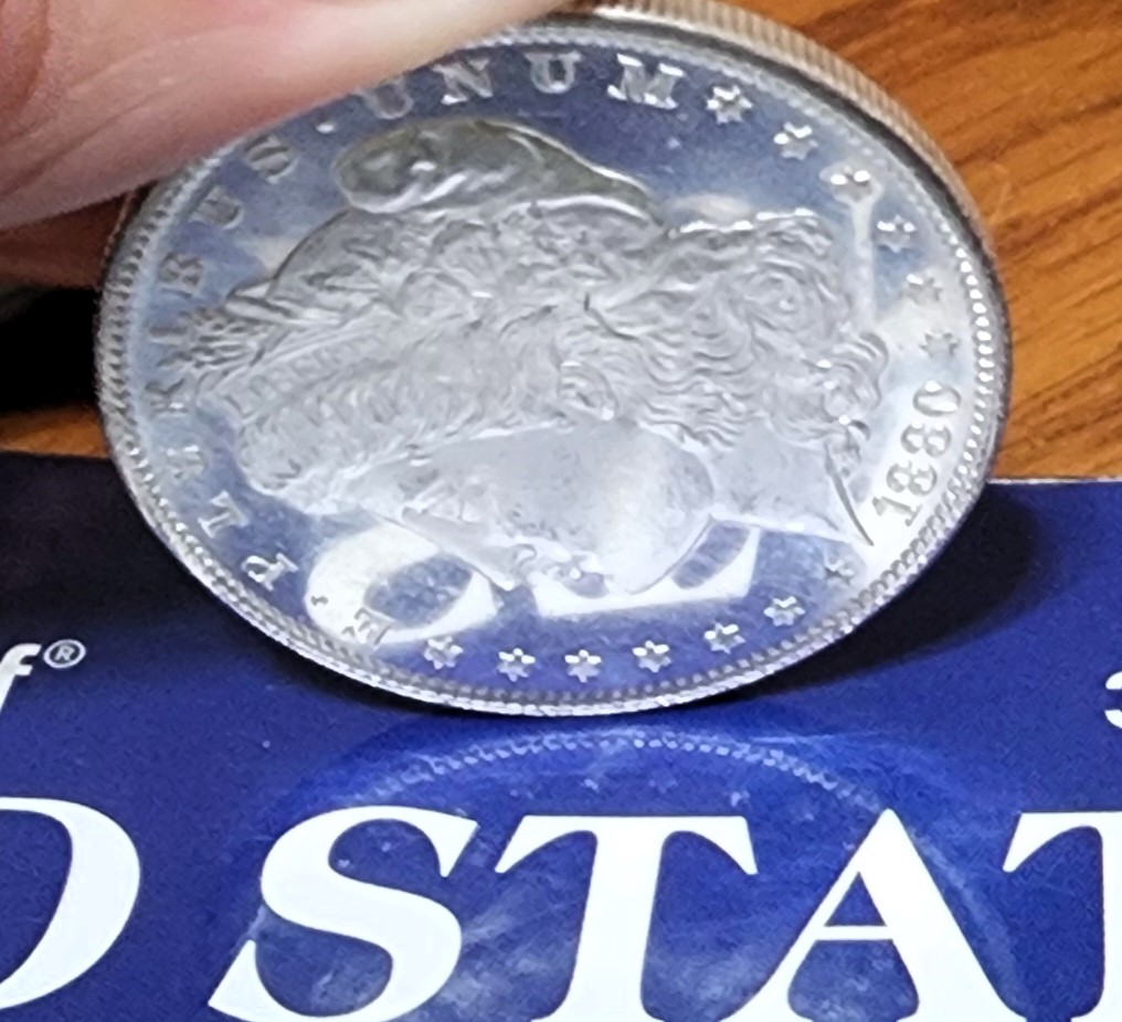 What-Do-You-Think-About-This-1880-S-DMPL?,-Pl,-And-Grade