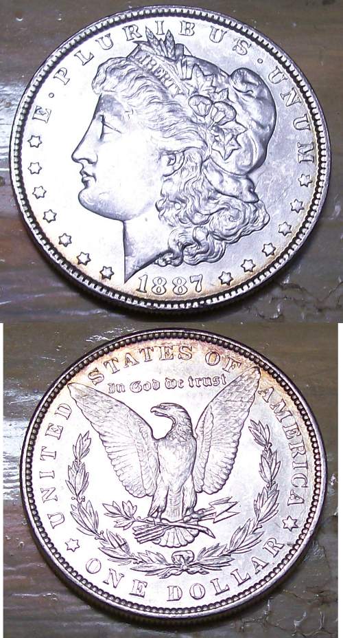 My-First-Morgan