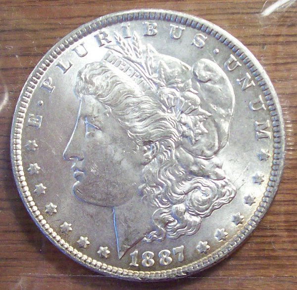 My-First-Morgan