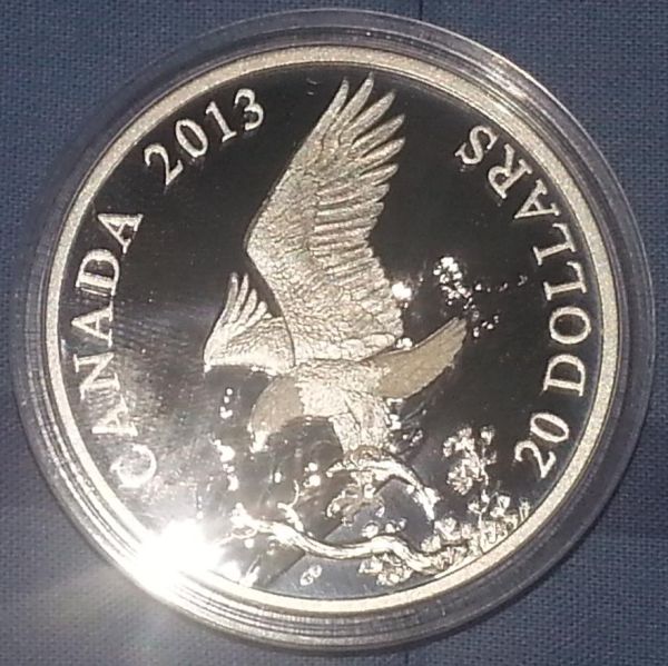 August-Releases---Rc-Mint