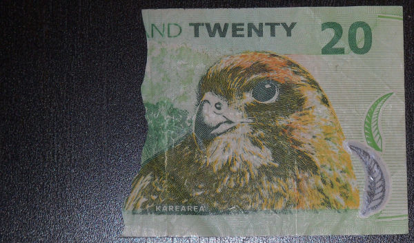 Ugliest-Banknote