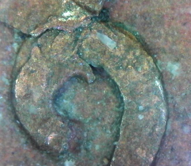 1964-D-Lincoln-Cent:-Lamination-Error-Or-PSD?