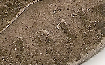 Also-Picked-Up-A-Badly-Worn-1911-Shilling