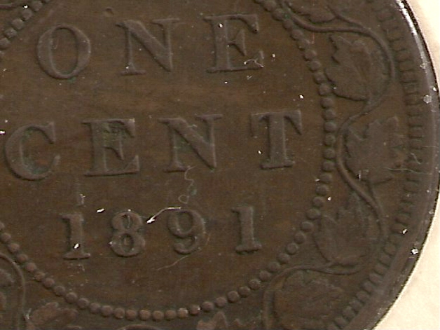 1891-Large-Leaf-Small-Date?