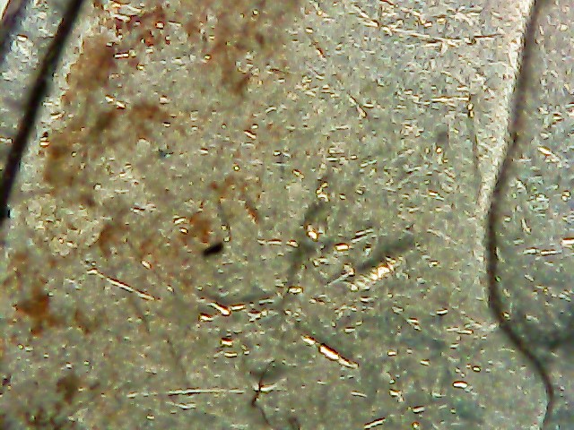 2004-P-Nickel-Stuck-Through-Grease?-Almost-All-Front-Lettering-Missing