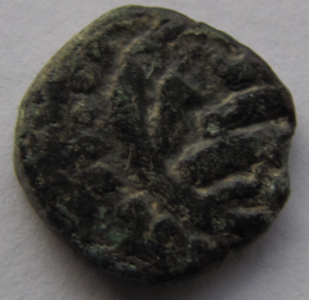2-Indian-Coins?