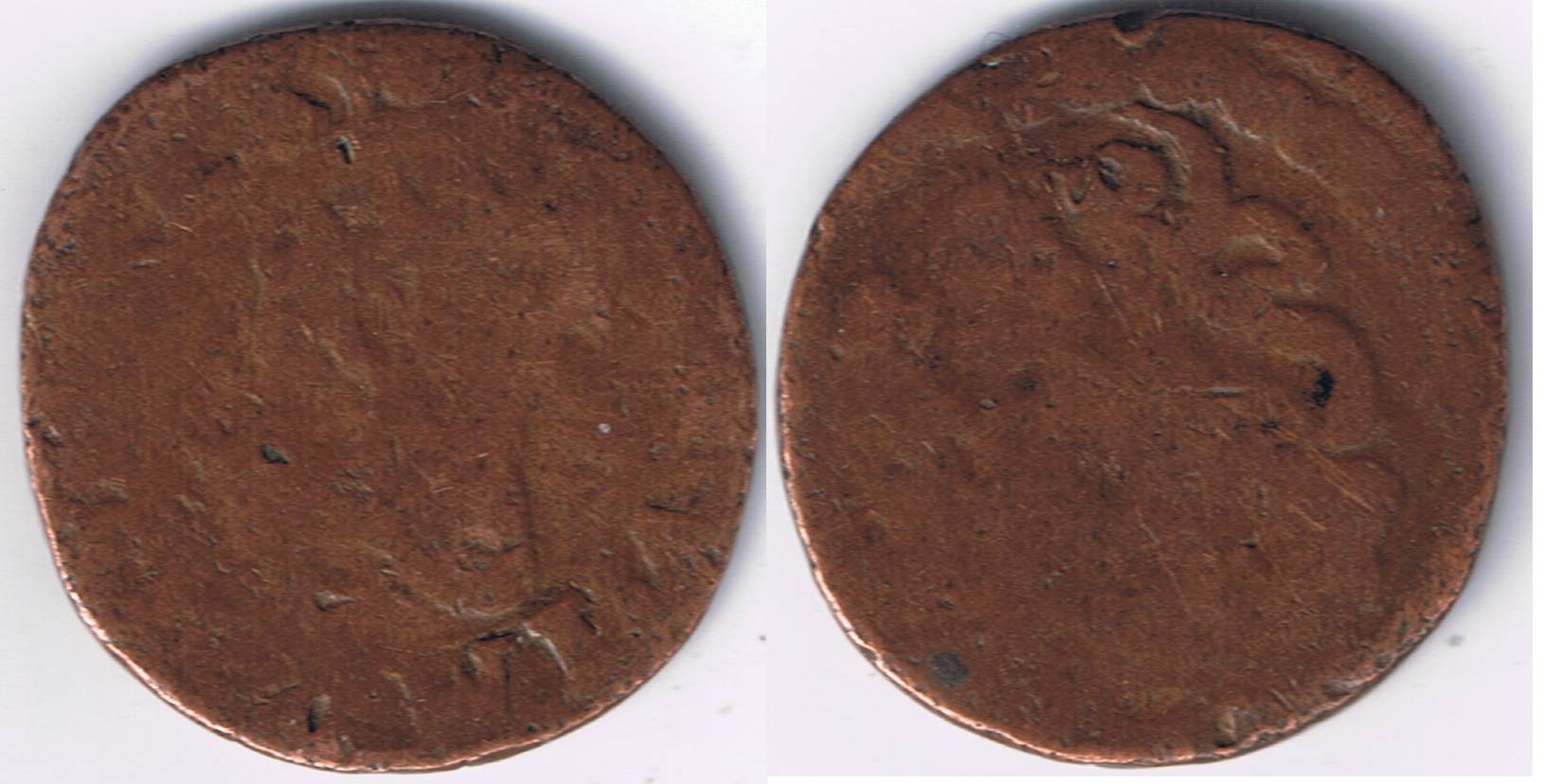 Copper-Coin-For-Identification