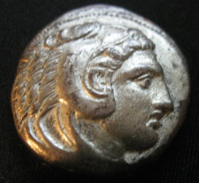 Real-Or-Fake?-Phaselis?
