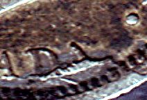 Very-Strange--1870--5-Cent---Error--????-Or-Extra-Metal??