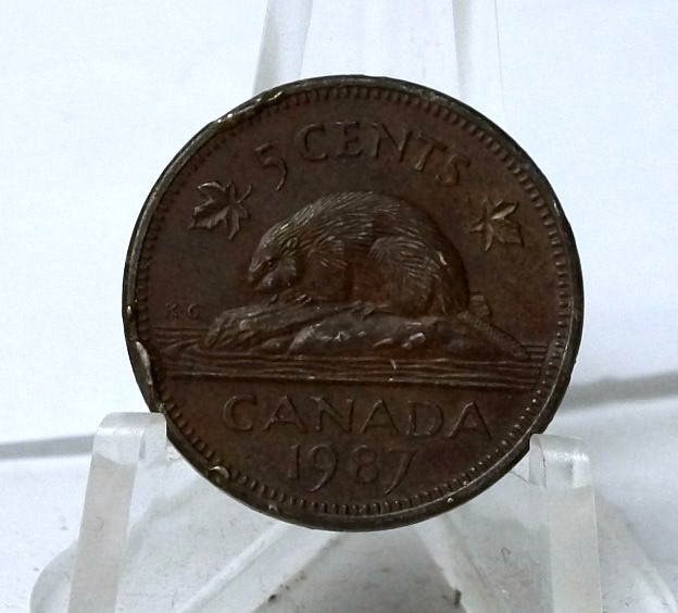 Mint-Error---1987--Nickle-That-Looks-Like-Copper