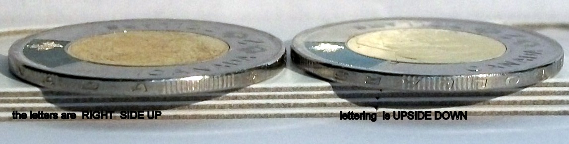 Could-This-Be--Twoonie-Mule-Or-Upset-Die-?-Just-Found-It