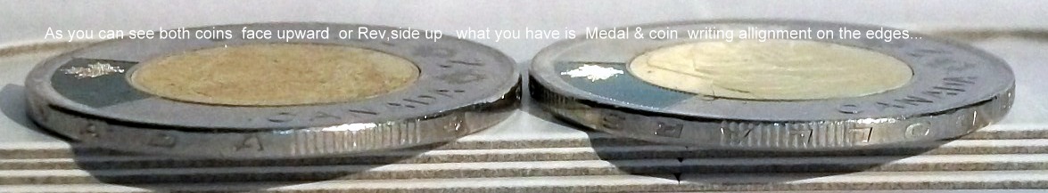 Could-This-Be--Twoonie-Mule-Or-Upset-Die-?-Just-Found-It