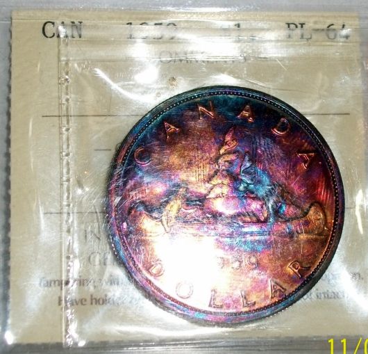 Most-Recent-Purchase--+-Toned-Beauty.-Whats-Your-Thoughts