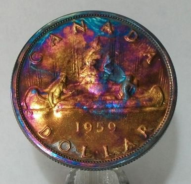 Most-Recent-Purchase--+-Toned-Beauty.-Whats-Your-Thoughts