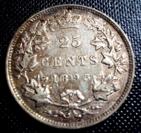 Latest-Purchase-+-Some-Grading-Opinions-Please