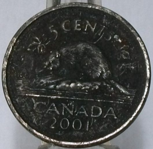 2001--Nickle-With-Weird-Finish..missing-Plating-?