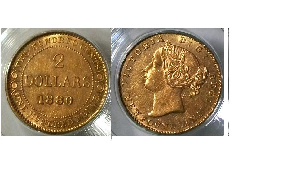 Post-Your-Canada-Gold