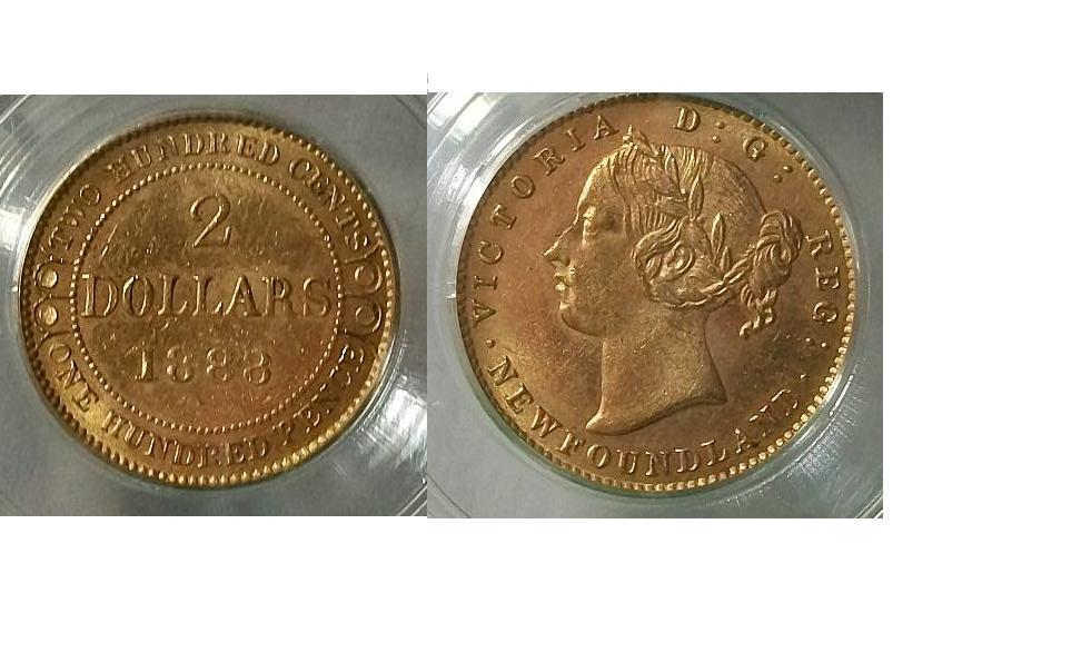 Post-Your-Canada-Gold