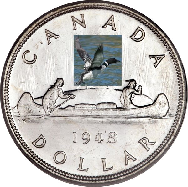 Voyageur-Or-Loon