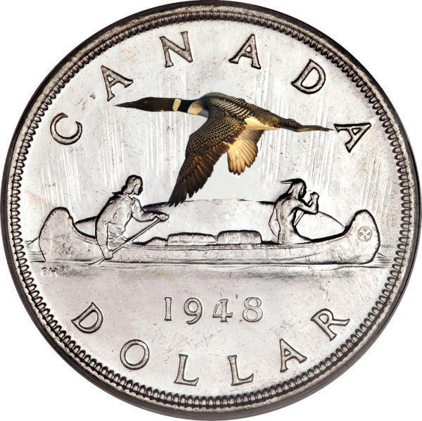 Voyageur-Or-Loon