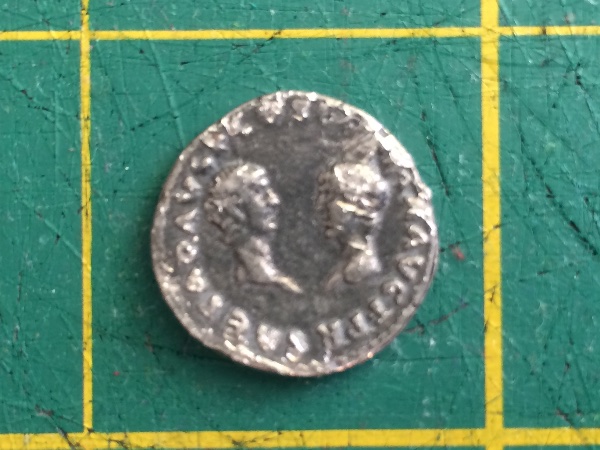 Total-Newbie-Indentification-Question